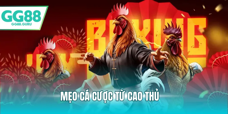 Đá Gà Cựa Dao – Trải Nghiệm Cá Cược Đầy Kịch Tính Và Hấp Dẫn 4 Mẹo cá cược từ cao thủ